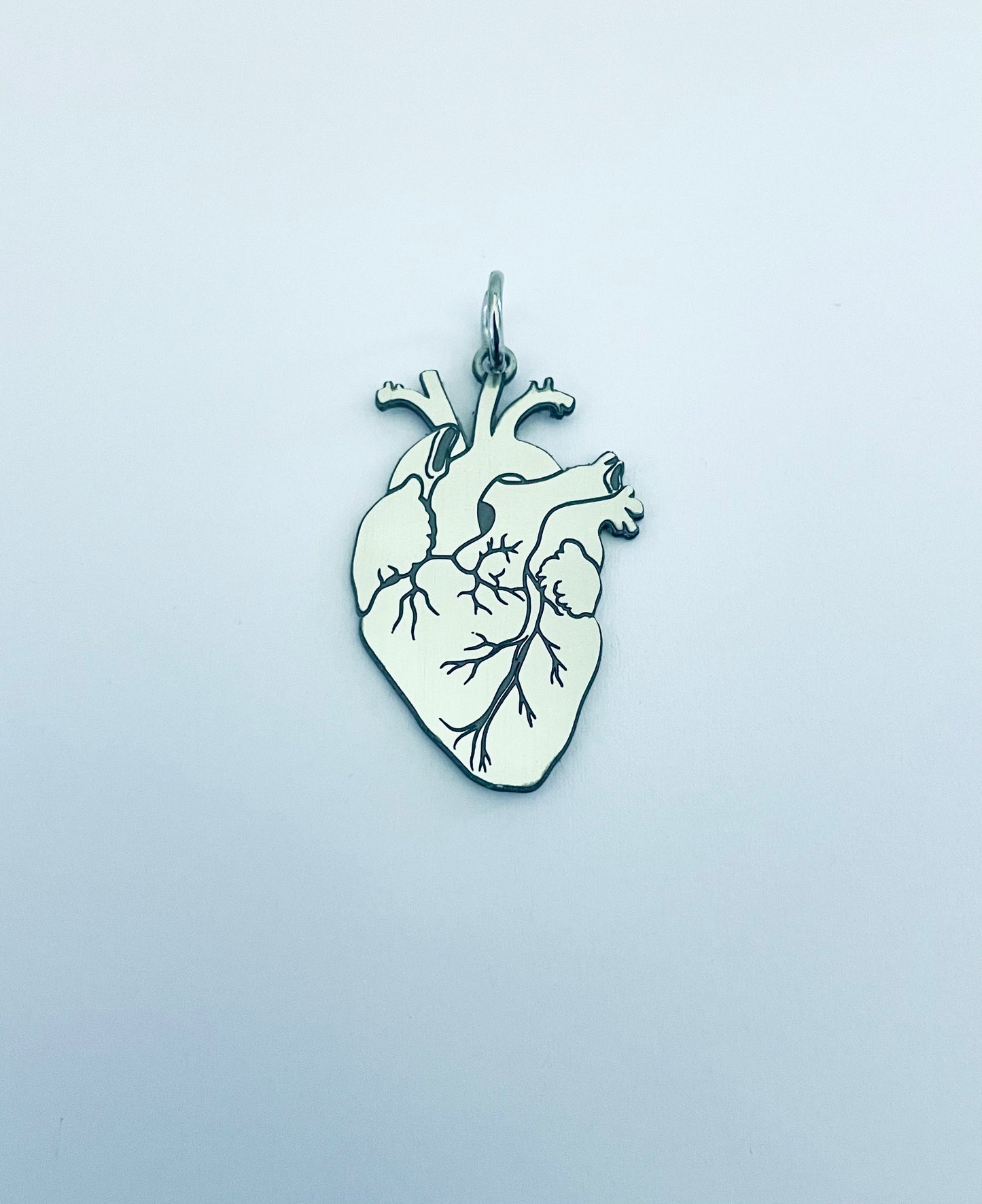 CUORE ANATOMICO