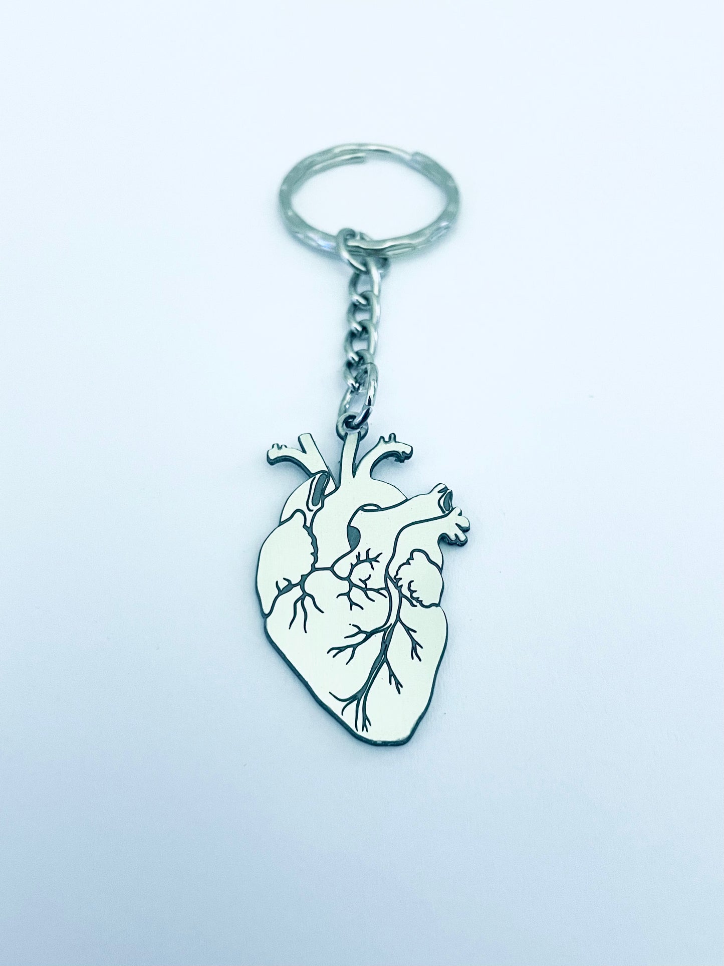 CUORE ANATOMICO