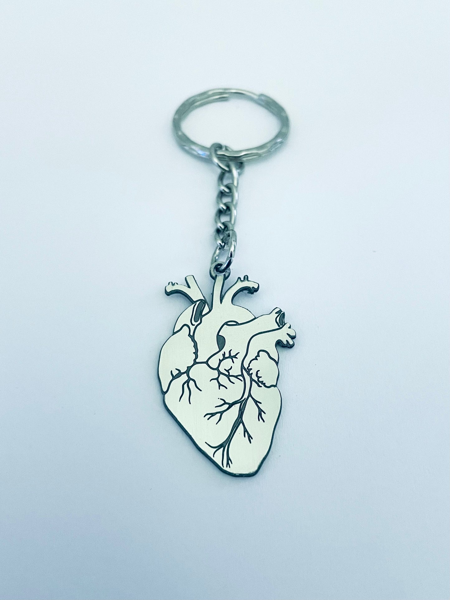 CUORE ANATOMICO