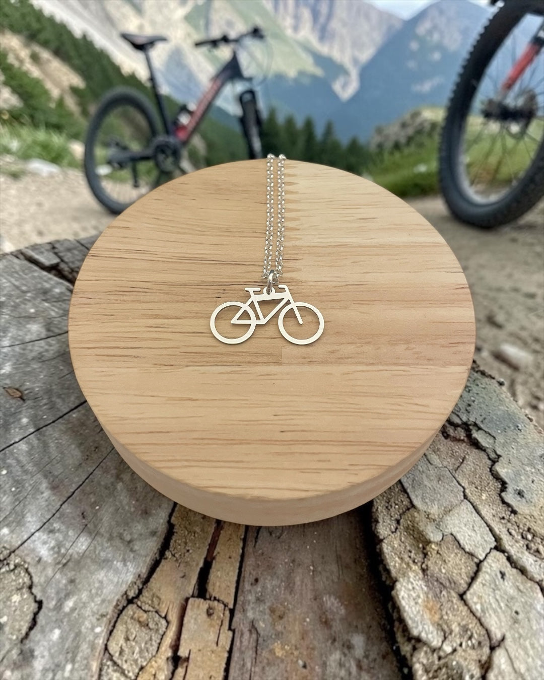 Collana Bici